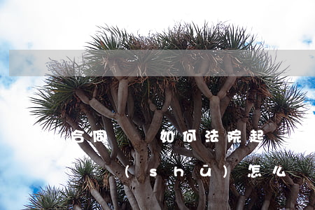 合同糾紛如何法院起訴書(shū)(合同起訴書(shū)怎么寫(xiě))