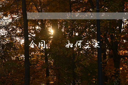 合同糾紛如何立案