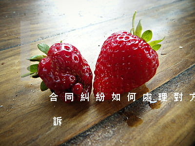 合同糾紛如何處理對方物品(物品糾紛怎么起訴)