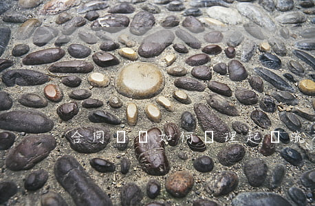 合同糾紛如何處理起訴流程起訴狀