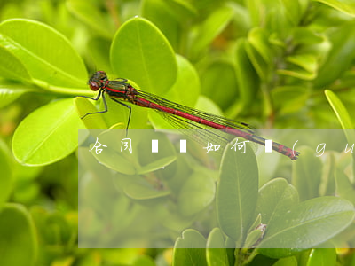 合同糾紛如何規(guī)避