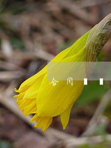 合同糾紛如何認(rèn)定詐騙
