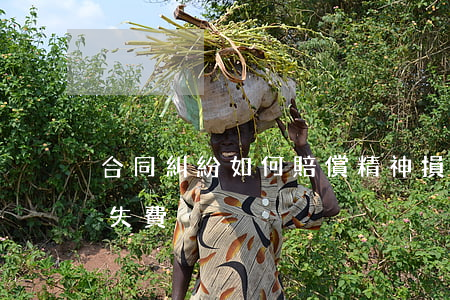 合同糾紛如何賠償精神損失(合同違約精神損失費)