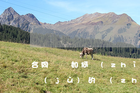 合同糾紛如何質(zhì)證(單方制作的證據(jù)的質(zhì)證意見)