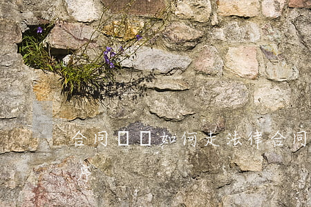 合同糾紛如何走法律(合同糾紛如何走法律程序)