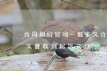 合同糾紛官司一般多久(合同糾紛官司一般多久會收到起訴文件)