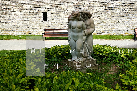 合同糾紛官司打輸了有什么后果(合同糾紛敗訴有什么后果)