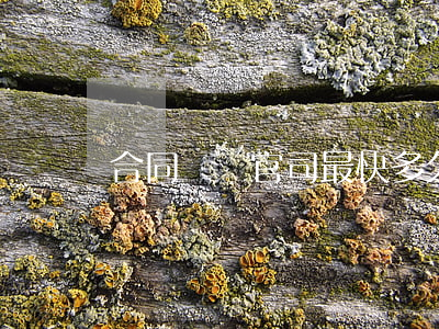 合同糾紛官司最快多久
