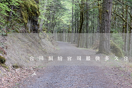 合同糾紛官司最快多久(合同糾紛官司最快多久)