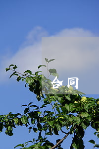 合同糾紛對方不履行如何處理