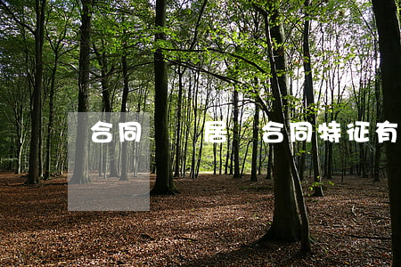 合同糾紛居間合同特征有哪些