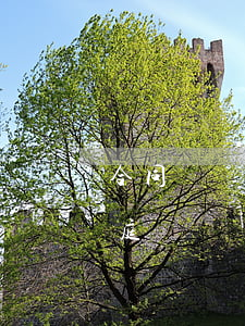 合同糾紛已經(jīng)立案了多久能開庭