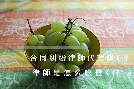 合同糾紛律師代理費(fèi)用(合同糾紛律師是怎么收費(fèi)的)