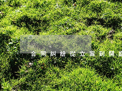 合同糾紛從立案到開庭大約多久