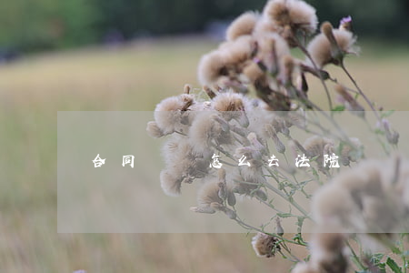 合同糾紛怎么去法院