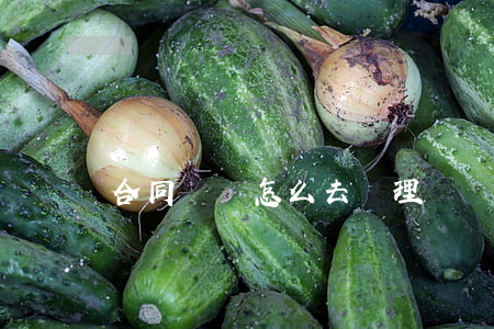 合同糾紛怎么去處理