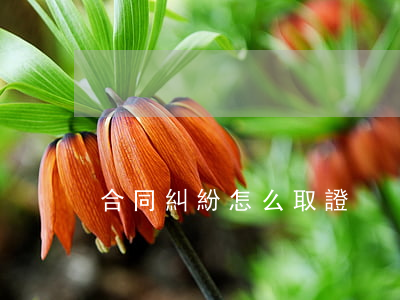 合同糾紛怎么取證