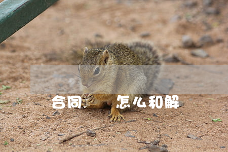 合同糾紛怎么和解