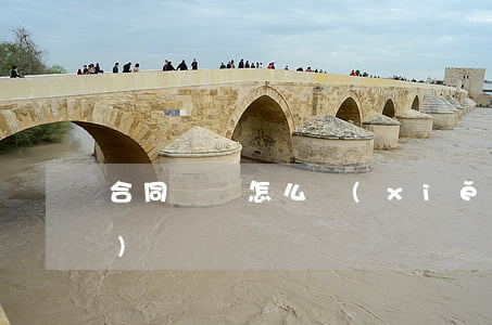 合同糾紛怎么寫(xiě)答辯書(shū)