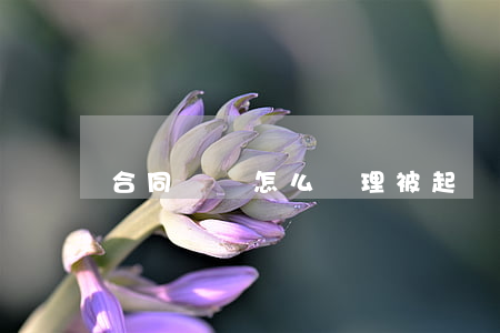 合同糾紛怎么處理被起訴