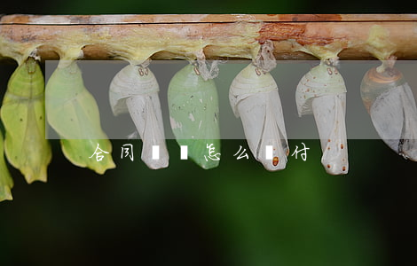 合同糾紛怎么賠付