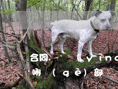 合同糾紛應(yīng)當(dāng)由哪個(gè)部門處理
