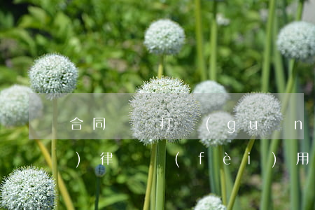 合同糾紛打關(guān)司請(qǐng)律師費(fèi)用多少