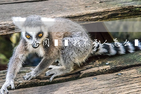 合同糾紛找不到人怎么辦
