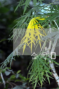 合同糾紛找哪里投訴