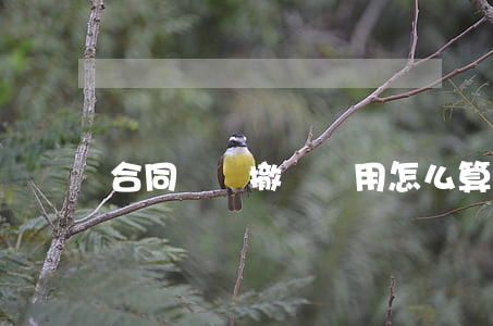 合同糾紛撤訴費用怎么算