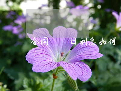 合同糾紛日利息如何計算