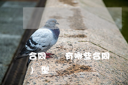 合同糾紛有哪些(合同糾紛有哪些類(lèi)型)
