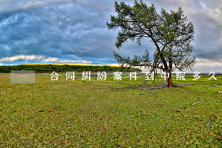 合同糾紛案件到中院多久開庭