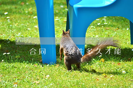 合同糾紛案件多久才能開庭