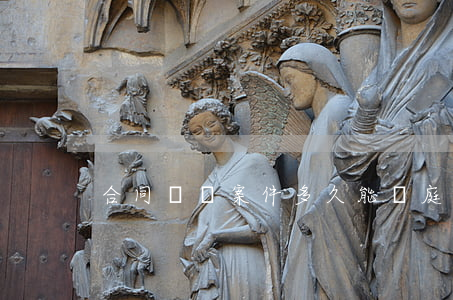 合同糾紛案件多久能開庭