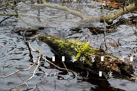 合同糾紛案件管轄如何確定(合同糾紛管轄權(quán)確定)