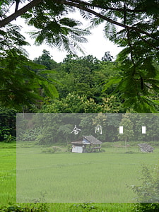 合同糾紛案屬于什么案件(案由 合同糾紛)