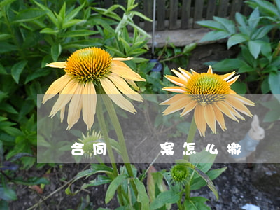 合同糾紛案怎么撤訴