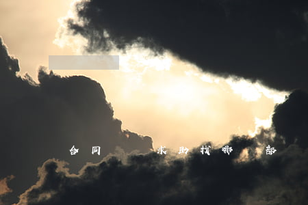 合同糾紛求助找哪個部門