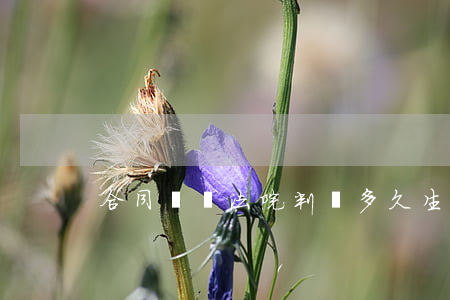合同糾紛法院判決多久生效