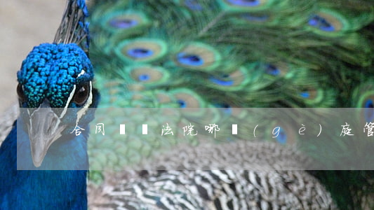 合同糾紛法院哪個(gè)庭管