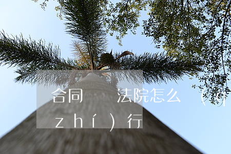 合同糾紛法院怎么強(qiáng)制執(zhí)行
