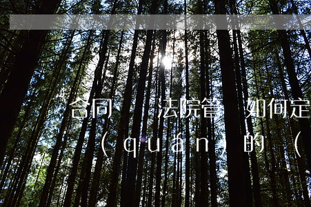 合同糾紛法院管轄如何定(合同糾紛訴訟管轄權(quán)的規(guī)定)