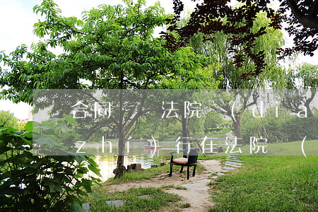 合同糾紛法院調(diào)解后如何執(zhí)行(在法院執(zhí)行局簽的調(diào)解協(xié)議管用嗎)