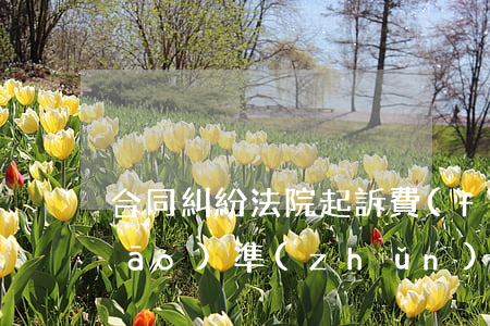 合同糾紛法院起訴費(fèi)用標(biāo)準(zhǔn)多少
