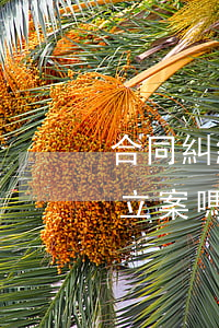 合同糾紛法院都可以受理嗎(沒有合同法院會立案嗎)
