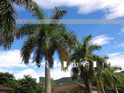合同糾紛由哪個(gè)部門(mén)起訴
