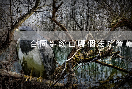 合同糾紛由哪個法院管轄