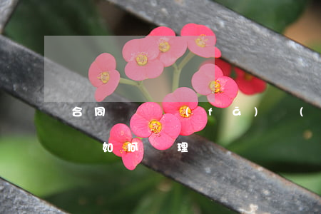 合同糾紛發(fā)現(xiàn)違法行為如何處理