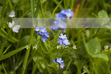 合同糾紛的一般訴訟時效是多久